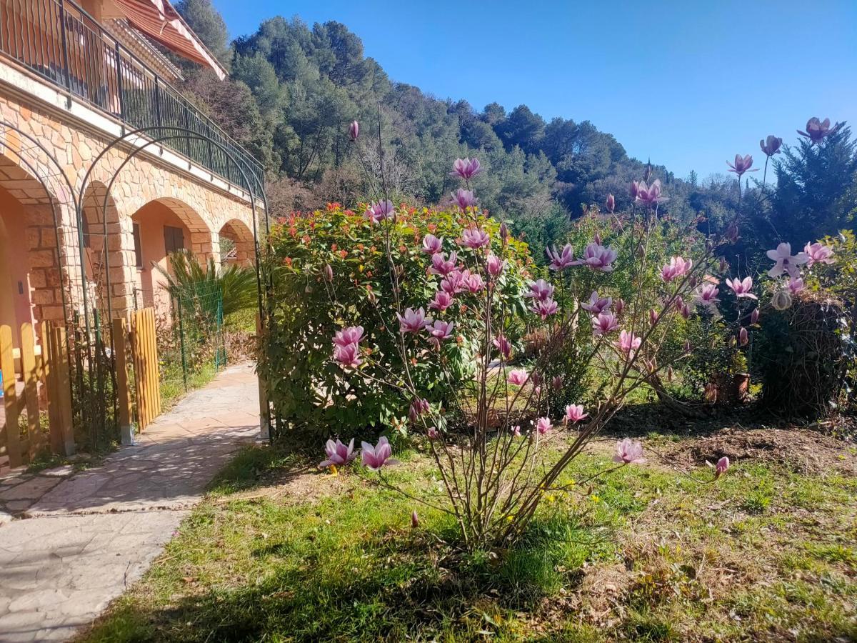 Un Brin De Paille Villa Cagnes-sur-Mer Kültér fotó