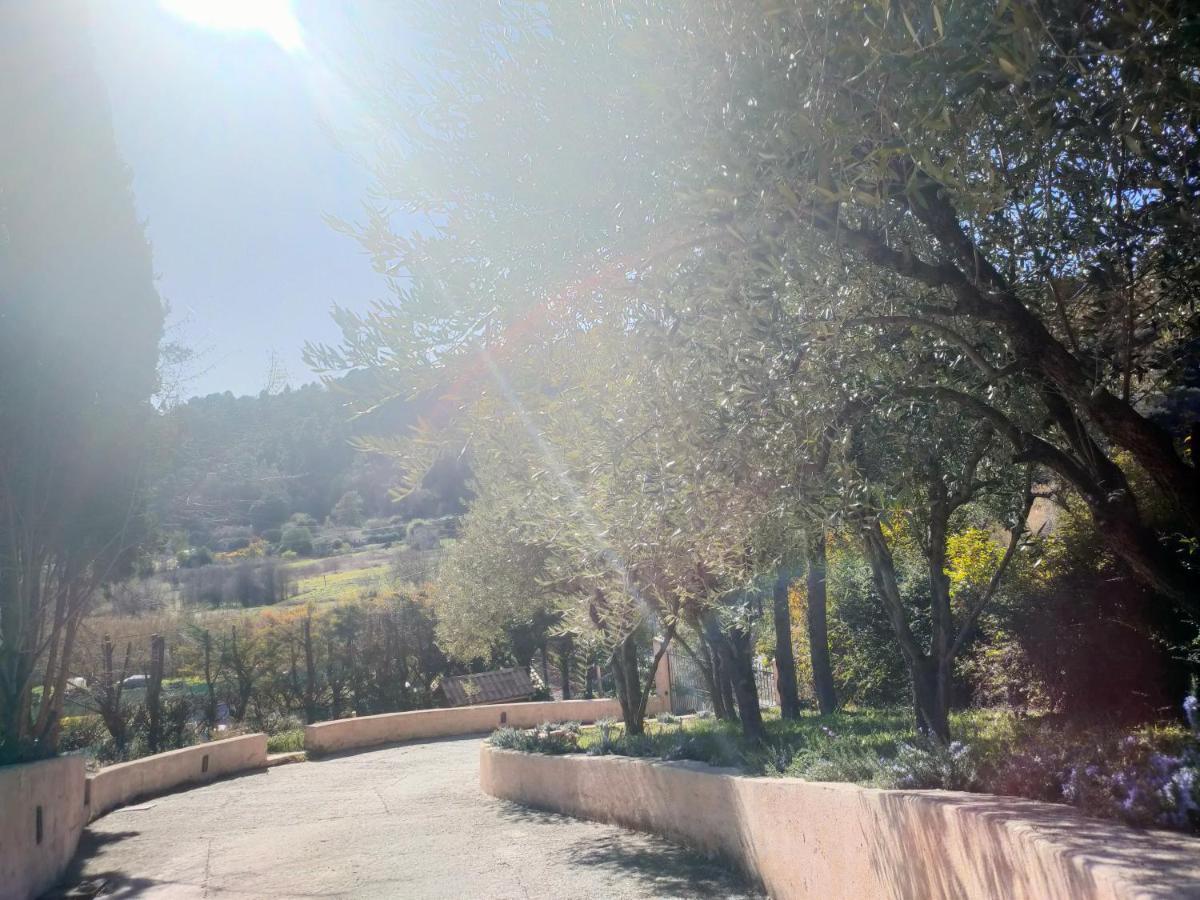 Un Brin De Paille Villa Cagnes-sur-Mer Kültér fotó