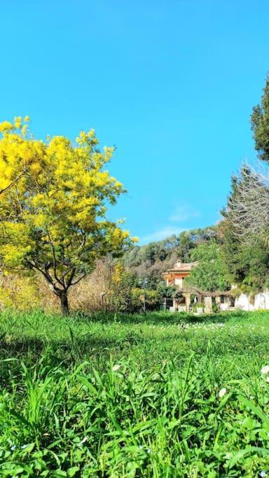Un Brin De Paille Villa Cagnes-sur-Mer Szoba fotó
